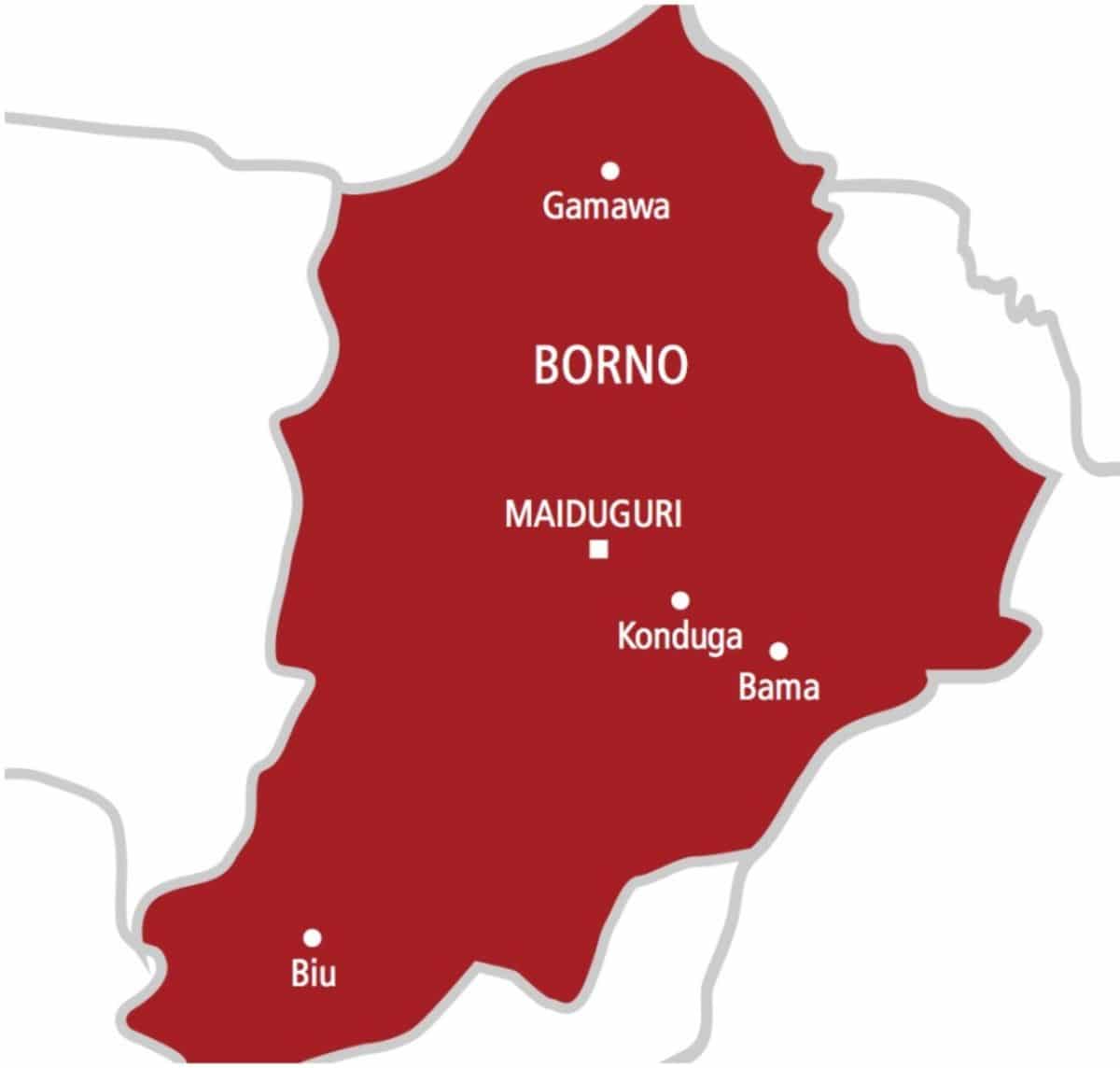 feature image for: Abducted Woman Released by Terrorists in Borno After Military Pressure