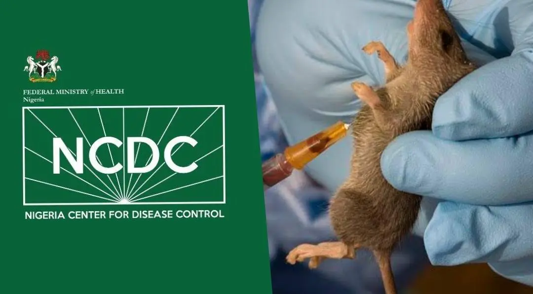 feature image for: Lassa Fever Death Toll Hits 143 in Nigeria as Fatality Rate Rises