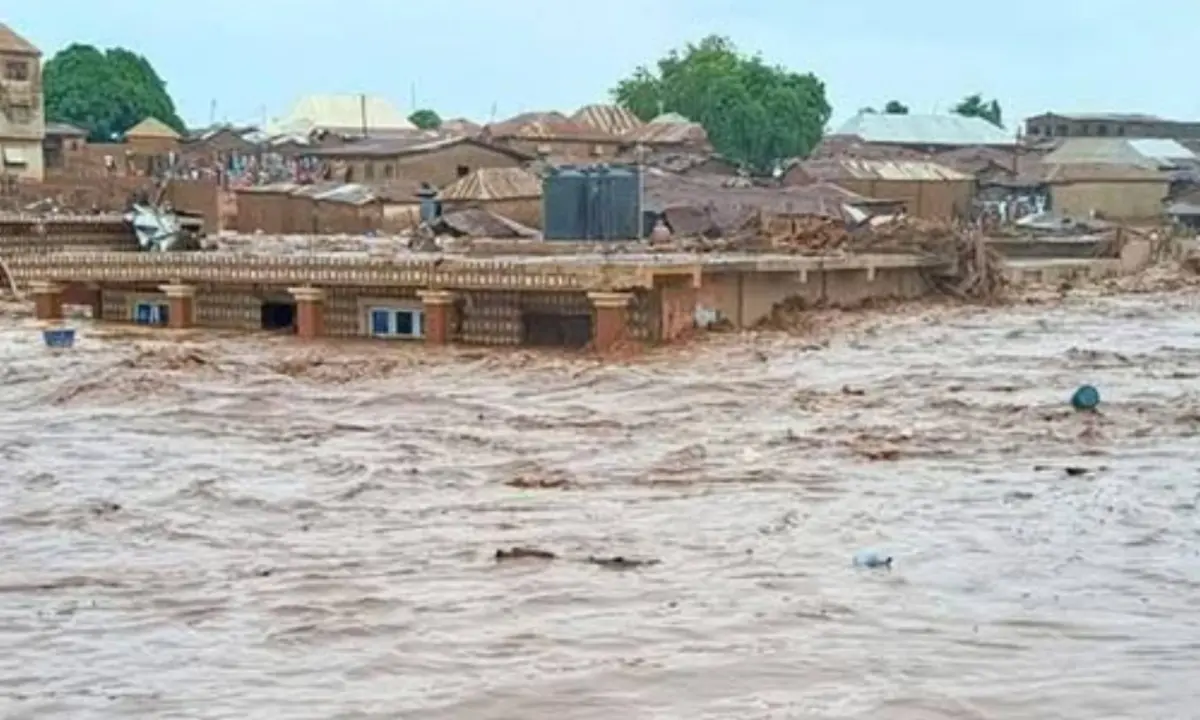 feature image for: Mokwa Flood: HOMEF Urges Environmental Emergency Declaration