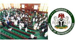 Nigerian House Passes 4 Bills, Advances Electoral Reforms