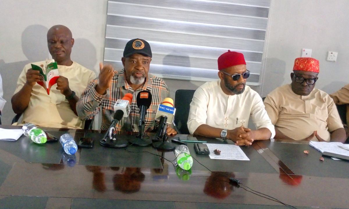 feature image for: PDP Crisis: South-East Leaders Endorse Anyanwu as National Secretary