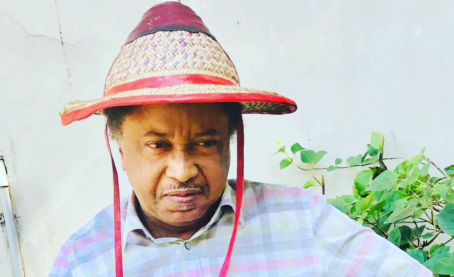 feature image for: Shehu Sani Mourns Prof. Jibril Aminu, Highlights His Lasting Legacy