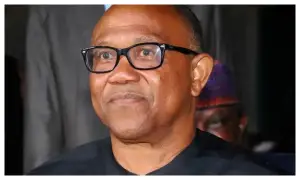 2027 Elections: Peter Obi Should Be Begging To Return To PDP - Mark