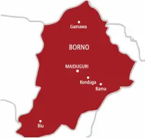 image for Abducted Woman Released by Terrorists in Borno After Military Pressure