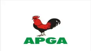 APGA's Nwachukwu, Ikpeazu-Azikiwe Win Anambra By-elections