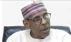image for Baba-Ahmed: Buhari, Tinubu Sought Presidency for Personal Gain