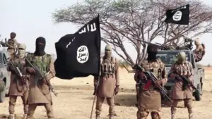 image for Boko Haram Leader Bakoura Refutes Death Claims After Niger Airstrikes