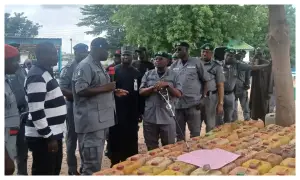 image for Customs Intercepts N96m Worth of Petrol in Adamawa, Condemns Mob Attack