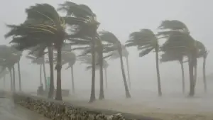 Deadly Windstorm Claims 4 Lives, Destroys 1,637 Houses in Yobe