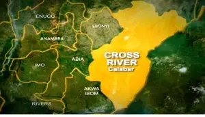 Electricity Vandal Electrocuted While Attempting Theft in Calabar
