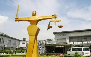 image for EndSARS: Court Awards N10m Damages Against Police for Rights Violation