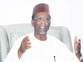 Ex-Minister Waziri Slams Tinubu: 'A Disaster After Buhari's Failure'