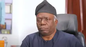 Falana Challenges Tinubu to Lead by Example on Social Welfare