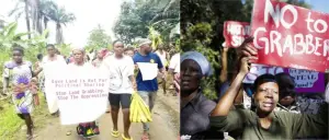image for Imo Community Protests Against Oguta LGA's Land Takeover Attempt