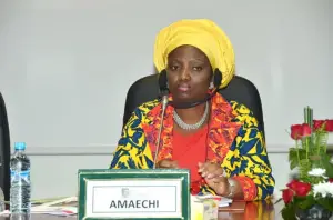 image for Judith Amaechi Denies Wike's N4bn Monthly NDDC Payment Claims