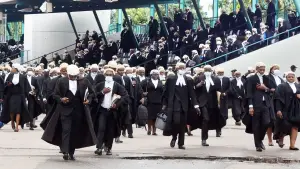 image for Lawyers Sue Nigerian Law Society Over Fraudulent Election Claims