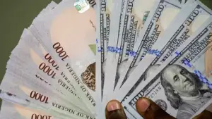 Naira Depreciates Against Dollar Across Official and Parallel Markets