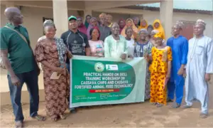 Niger Cassava Processors Urged to Tap Into Global Chips Export Market