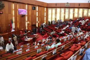 image for Nigerian Senate Passes Federal Oil and Gas Hospital Bill for Delta