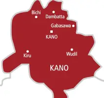 image for Over 1.2 Million Kano Residents Living with Hepatitis B Virus