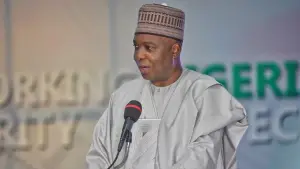 Saraki Affirms Commitment to PDP, Denies Directing Supporters to ADC
