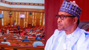 image for Senate Urges FG to Immortalize Buhari with National Monument