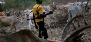 Suspected Herdsmen Kill Two in Fresh Benue Attack on Uikpam Road