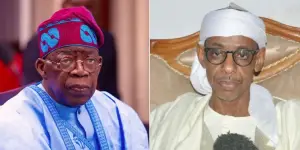 image for Tinubu's VP Choice from North-West 'Too Risky', Says Baba-Ahmed