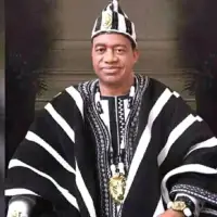 image for Tor Tiv Alerts Tinubu: Attackers Infiltrate Benue from Nasarawa