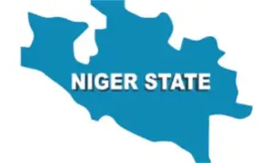 Tragedy at Niger Government House: Guest Collapses and Dies
