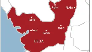 Woman Fakes Kidnapping After Spending N3.6m on Bridal Shower in Delta