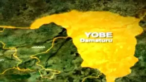image for Woman Kills Husband Over Food Dispute in Yobe State